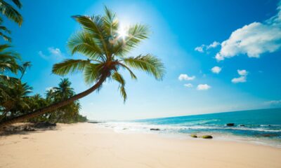 spiaggia tropicale, mare, palme