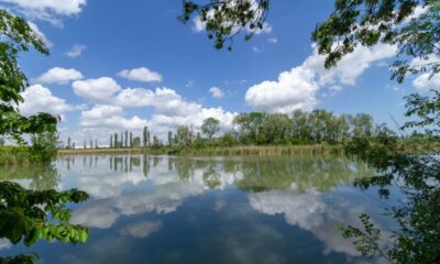 Vista del parco del Delta del Po a Ferrara