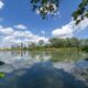 Vista del parco del Delta del Po a Ferrara