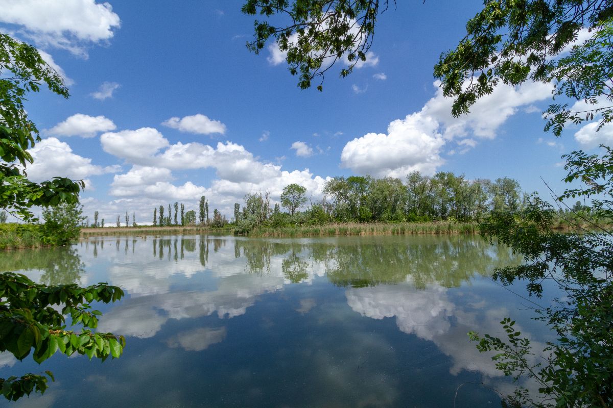 Vista del parco del Delta del Po a Ferrara