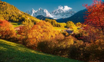 Paesaggio autunnale del Trentino Alto Adige con alberi con foglie arancioni