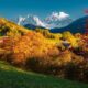 Paesaggio autunnale del Trentino Alto Adige con alberi con foglie arancioni