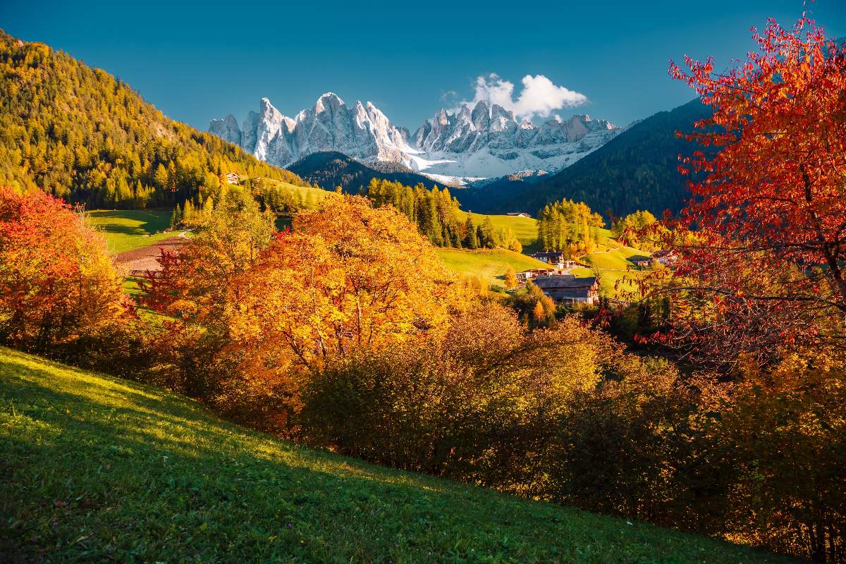 Paesaggio autunnale del Trentino Alto Adige con alberi con foglie arancioni