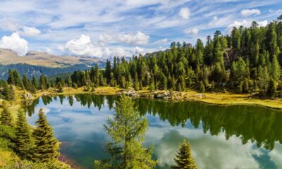 Parco Naturale Paneveggio, Dolomiti