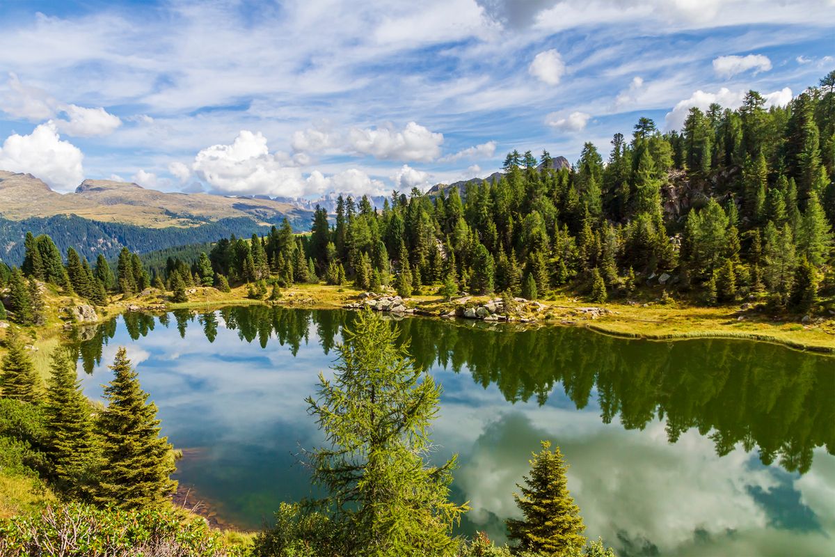 Parco Naturale Paneveggio, Dolomiti