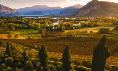 Colline con vigneti, prati verdi, alberi, degli specchi d'acqua e un lago sullo sfondo in Franciacorta al tramonto