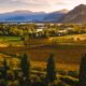 Colline con vigneti, prati verdi, alberi, degli specchi d'acqua e un lago sullo sfondo in Franciacorta al tramonto