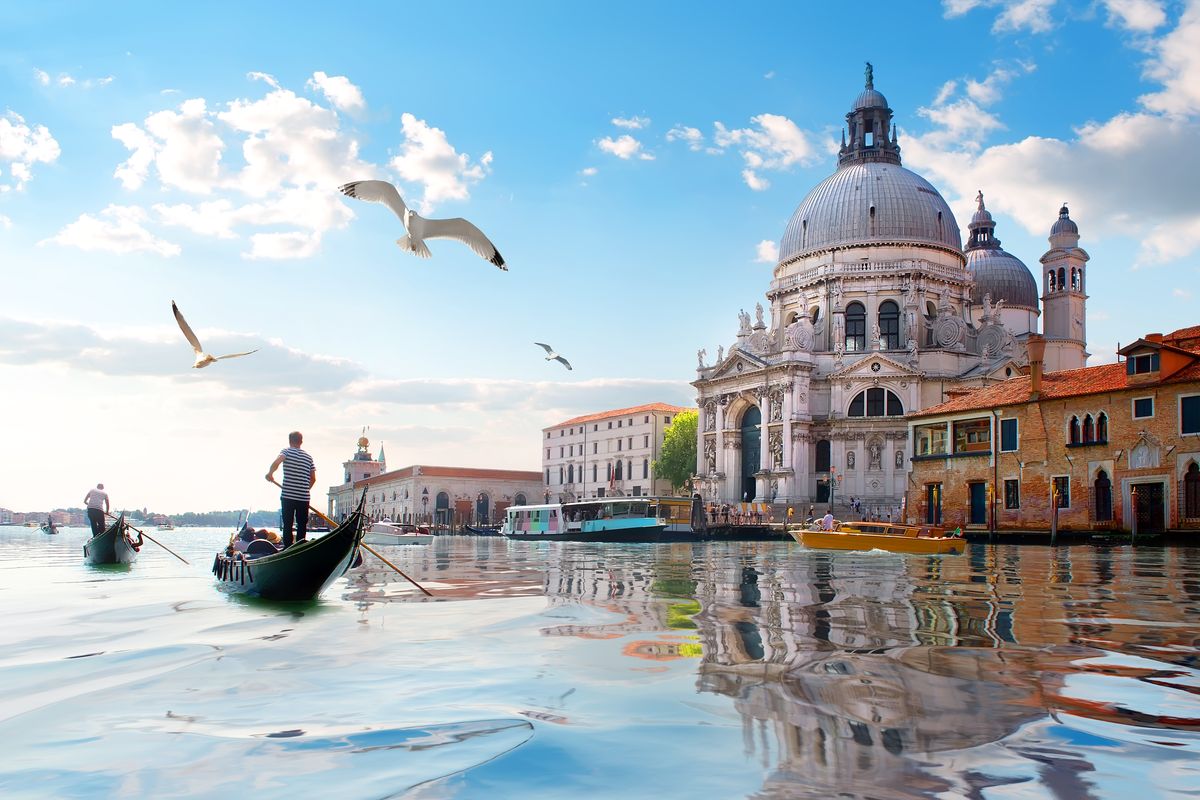 Gabbiani, gondole e antica cattedrale di Santa Maria della Salute a Venezia, Italia