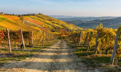 Langhe, Piemonte