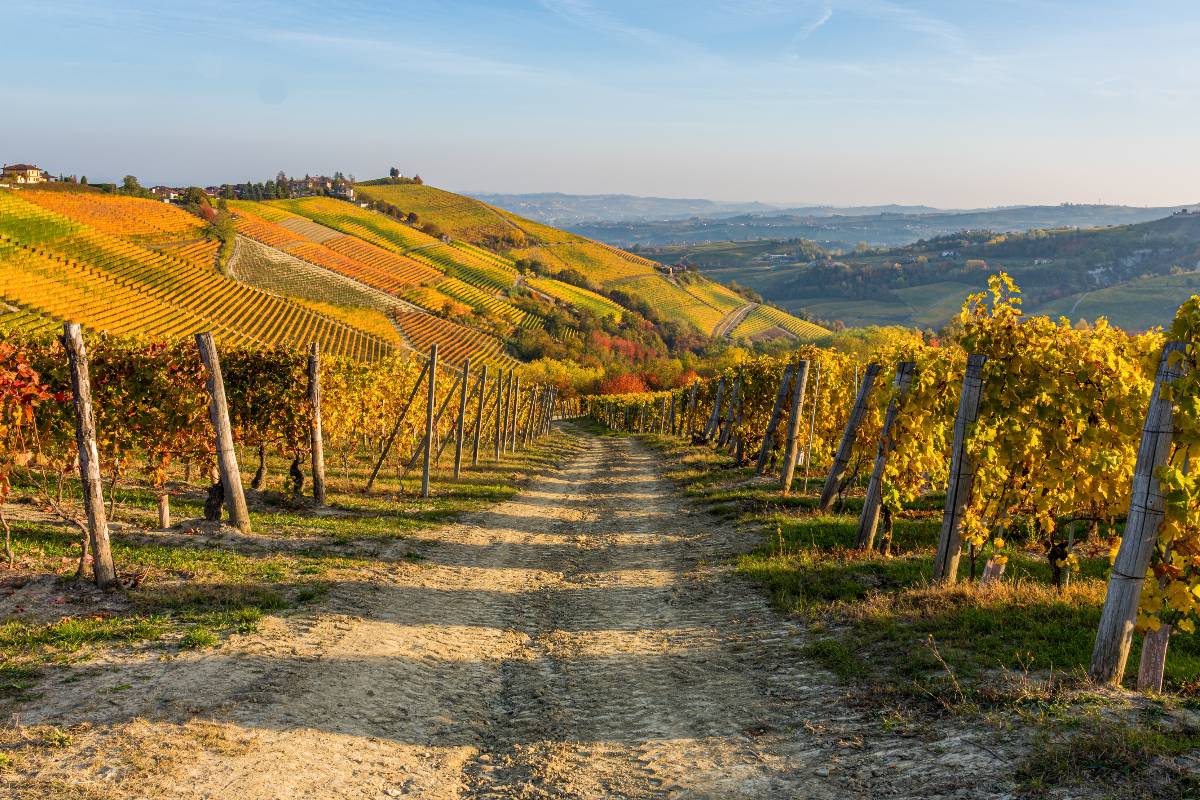 Langhe, Piemonte