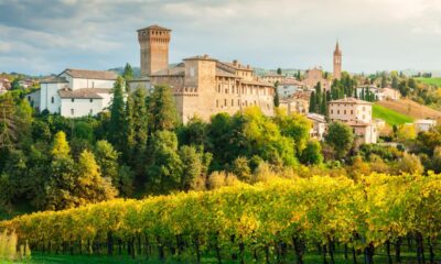 Veduta panoramica del castello di Levizzano con un frutteto in primo piano