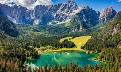 Abeti che circondano un lago con un prato verde e delle montagne delle Alpi sullo sfondo in una giornata di sole