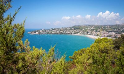 Vista della baia di Serapo con alberi in primo piano