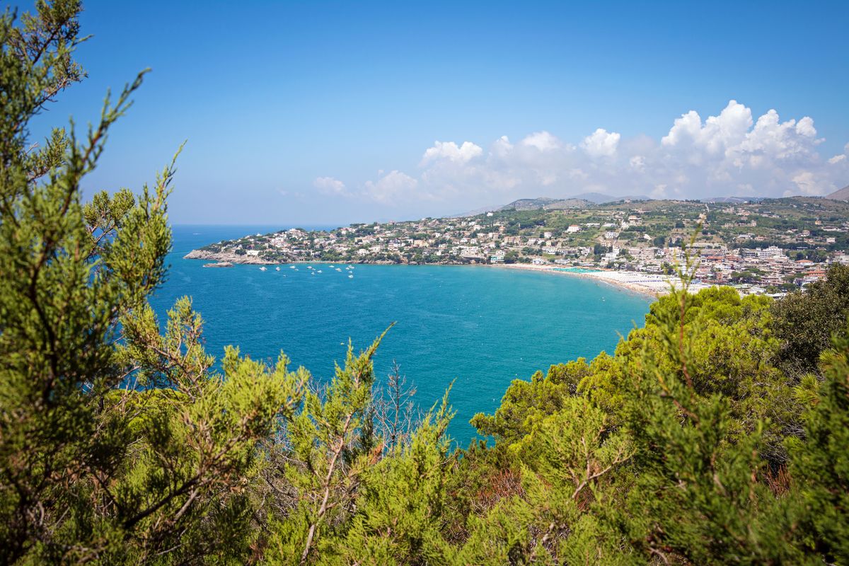 Vista della baia di Serapo con alberi in primo piano