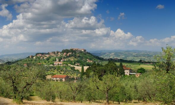 La collina degli ulivi in una veduta panoramica