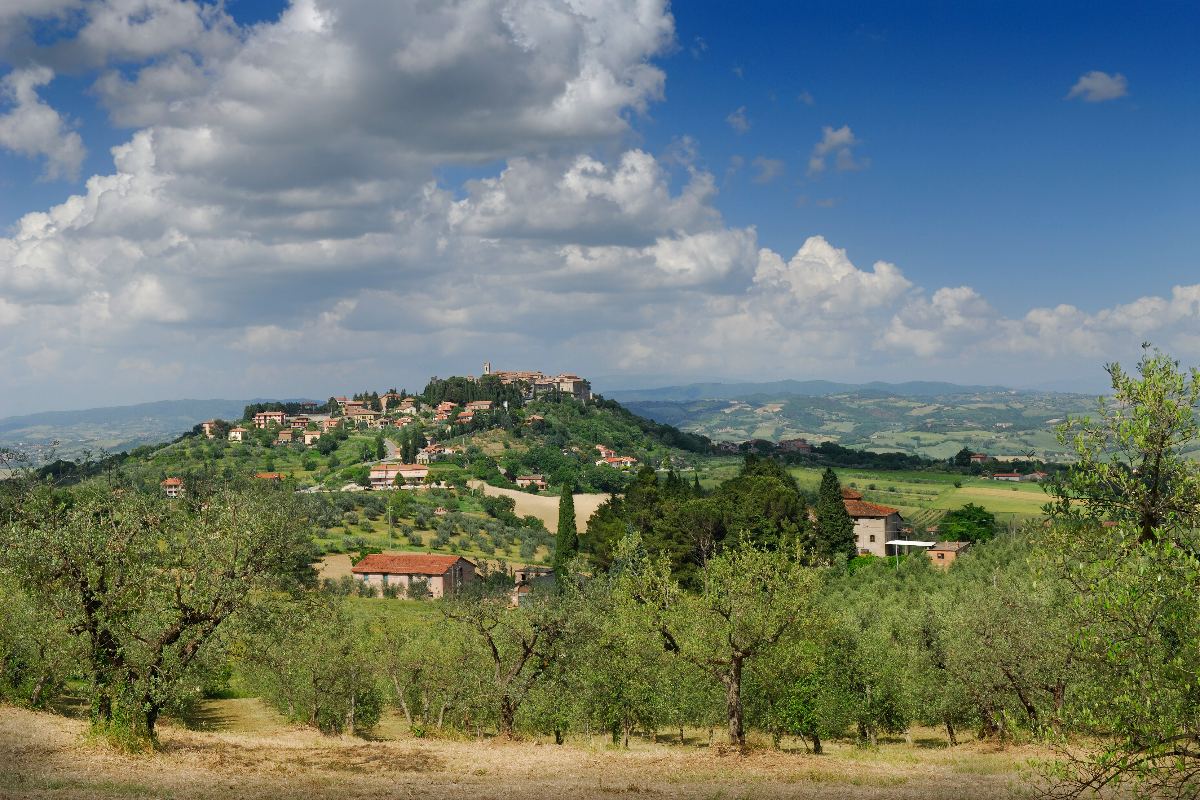 La collina degli ulivi in una veduta panoramica