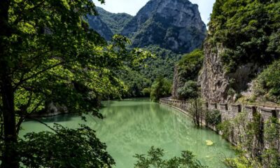 Acque verdi della Gola del Furlo con in primo piano dei rami di un albero, sul lato il sentiero che costeggia il lago, la parete rocciosa e sullo sfondo la parete di una montagna