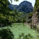 Acque verdi della Gola del Furlo con in primo piano dei rami di un albero, sul lato il sentiero che costeggia il lago, la parete rocciosa e sullo sfondo la parete di una montagna
