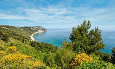 Panorama della spiaggia di Mezzavalle con alberi e piante in primo piano e sullo sfondo un promontorio sulla costa e il mare