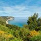 Panorama della spiaggia di Mezzavalle con alberi e piante in primo piano e sullo sfondo un promontorio sulla costa e il mare