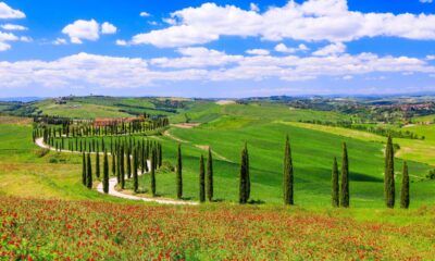 Paesaggio della Val d'Orcia tra colline e cipressi