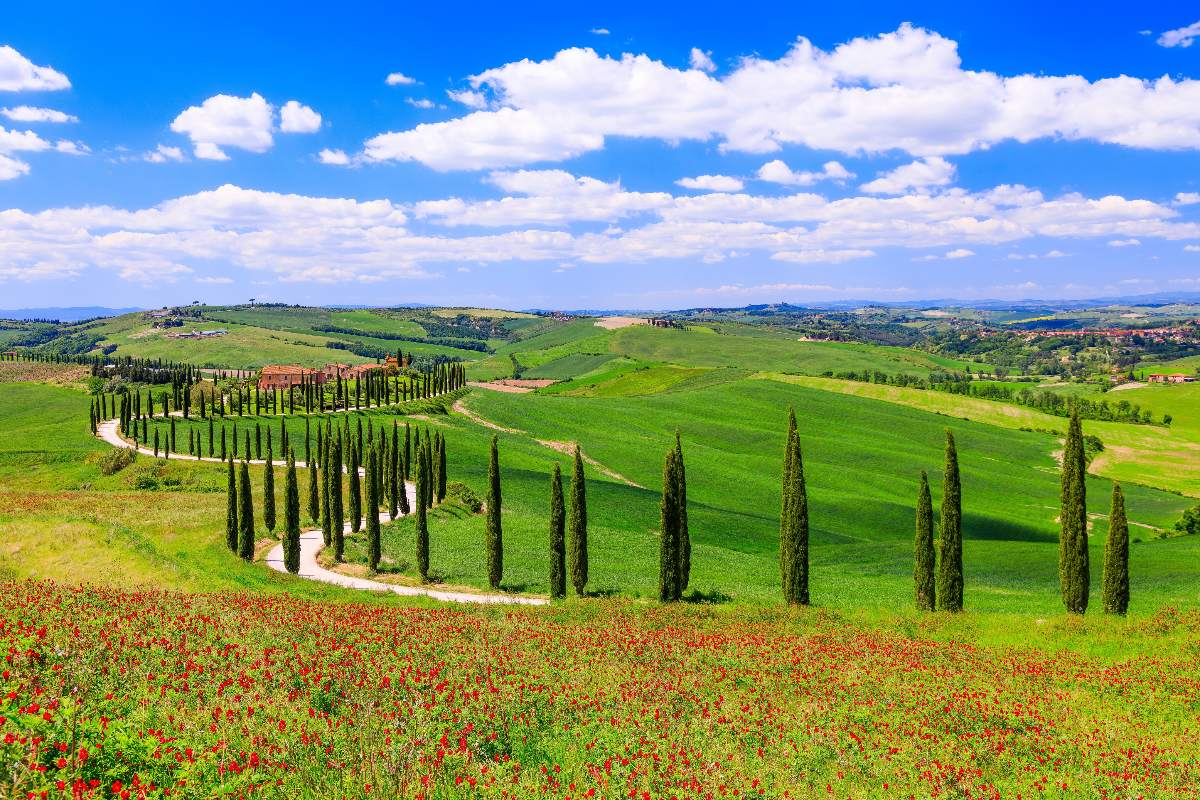 Paesaggio della Val d'Orcia tra colline e cipressi