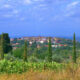 Panorama toscano con un borgo sullo sfondo