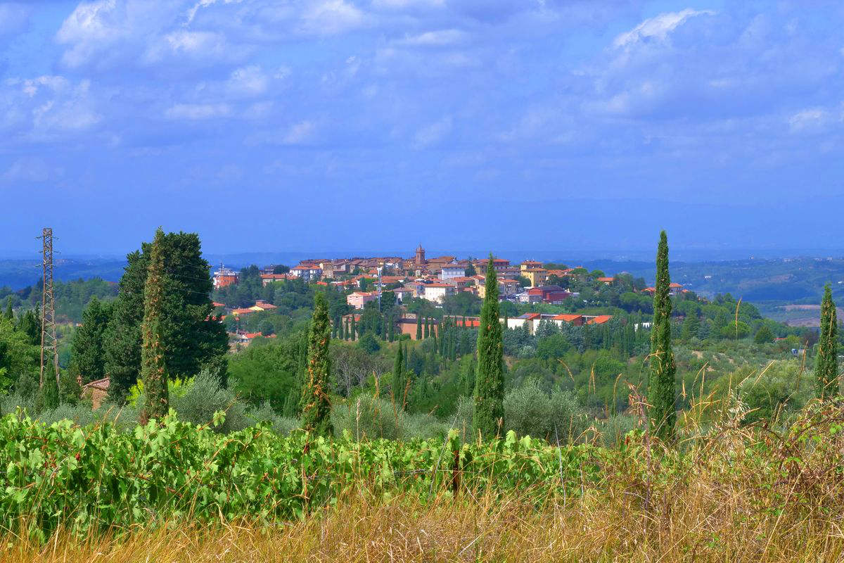 Panorama toscano con un borgo sullo sfondo