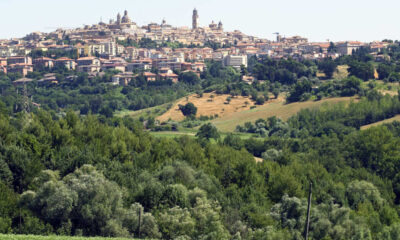 Vista su Macerata sullo sfondo con in primo piano un bosco