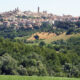 Vista su Macerata sullo sfondo con in primo piano un bosco