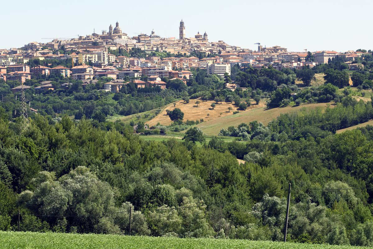 Vista su Macerata sullo sfondo con in primo piano un bosco