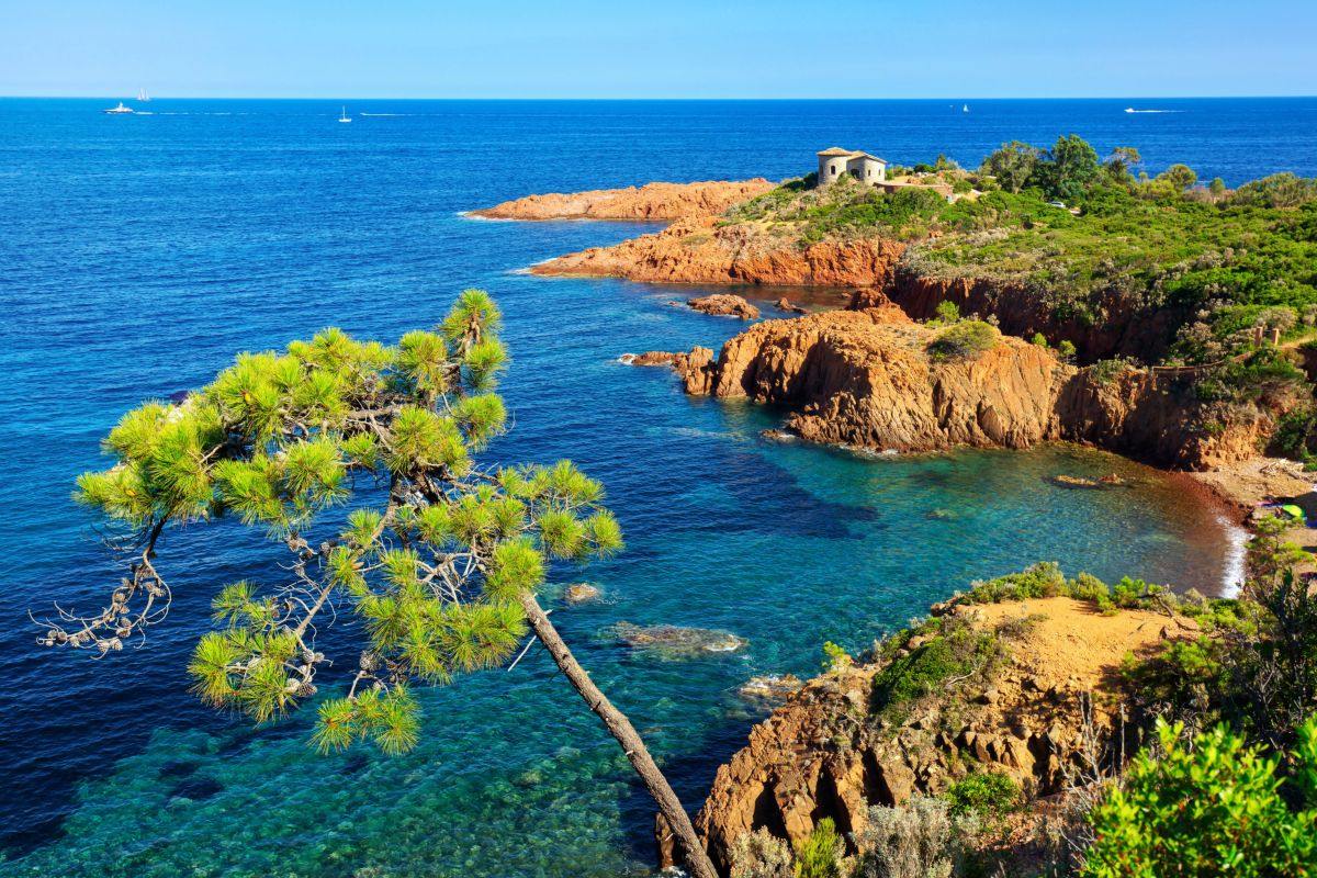 Scorcio della costa di Cannes con la vegetazione tipica mediterranea e uno scoglio dove si trova una piccola casetta