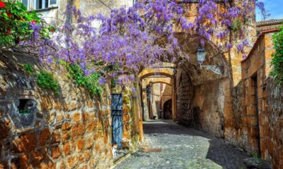 Via del centro storico di Orvieto con delle volte e muri ai lati con delle piante dai fiori viola che la sovrastano