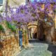 Via del centro storico di Orvieto con delle volte e muri ai lati con delle piante dai fiori viola che la sovrastano
